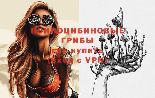эйфоретик Медногорск