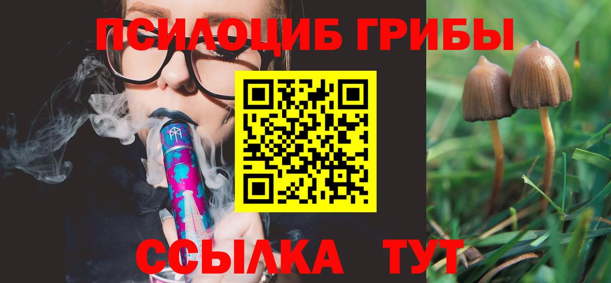 Рубцовск  Галлюциногенные грибы ЛСД  Вход с VPN 