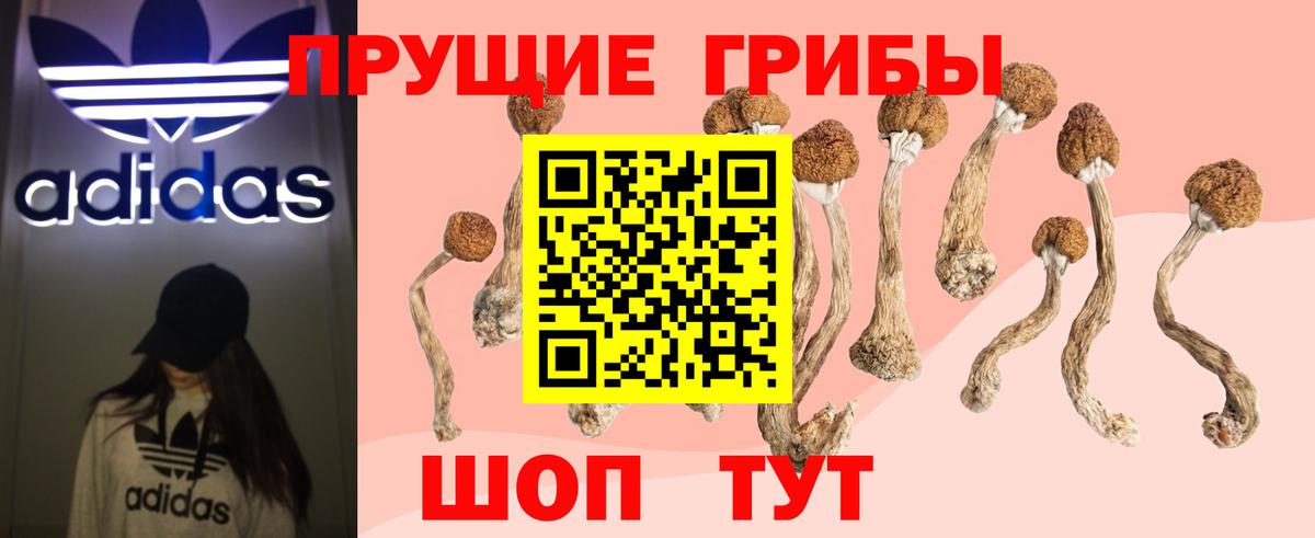 Псилоцибиновые грибы MAGIC MUSHROOMS Рубцовск
